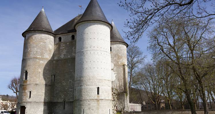 Castillo de piedra medieval con dos torres redondas gemelas y techos cónicos recortados contra un cielo primaveral despejado