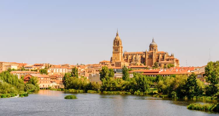 La cathédrale aux tours jumelles de Salamanque s'élève au-dessus du fleuve Tormes encadrée de verdure par une journée claire.