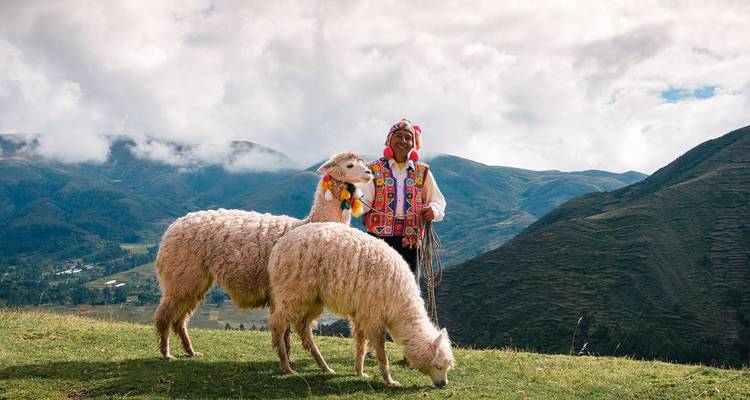 Andean herder in bright traditional clothing stands with two llamas on a grassy hillside.