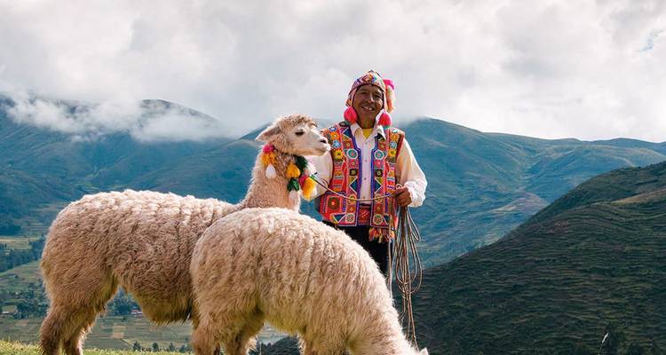Femme andine en vêtements traditionnels colorés se tient à côté de deux alpagas décorés sur fond de montagnes vertes et de paysage de vallée.