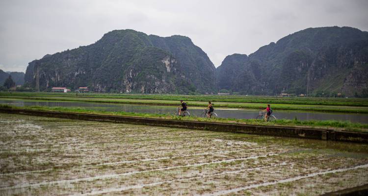 Cyclists ride past flooded rice paddies with towering karst mountains in Ninh Binh