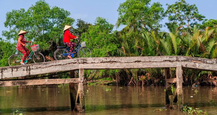 Two women in conical hats cycle across narrow wooden bridge over brown canal lined with palms