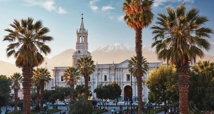 Historische Kathedrale, umrahmt von Palmen, mit schneebedecktem Vulkan im Hintergrund in Arequipa.
