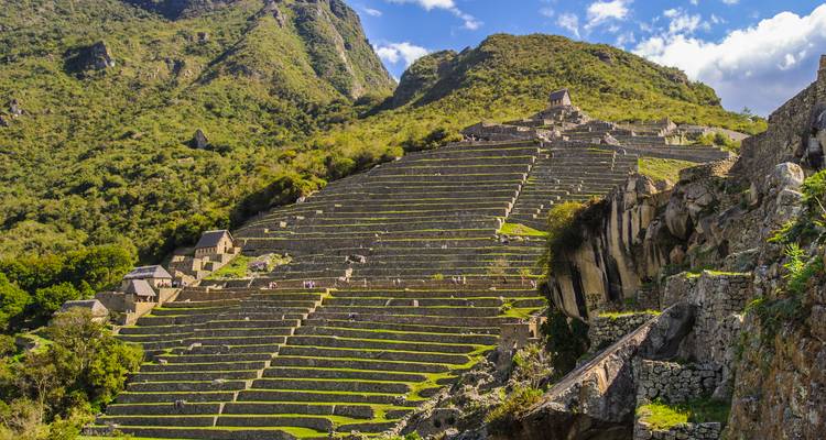 Série de terrasses agricoles escarpées escaladant une colline andine verdoyante avec de petites ruines au sommet.