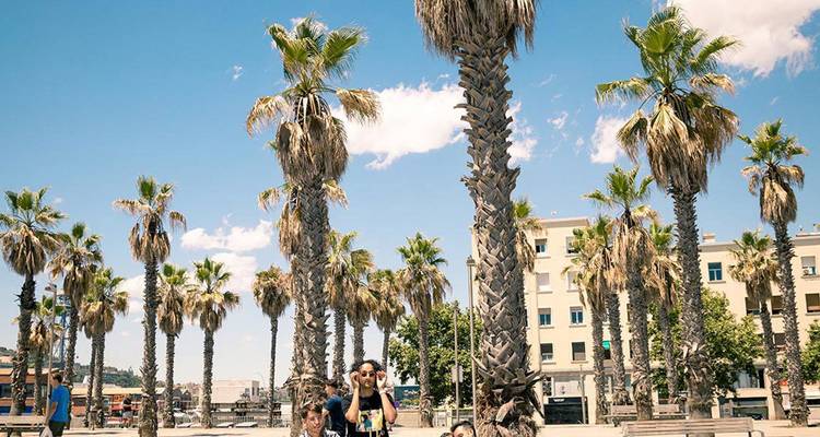 Promenade urbaine bordée de palmiers par une journée ensoleillée avec des visiteurs qui se promènent et se détendent sous un ciel bleu clair