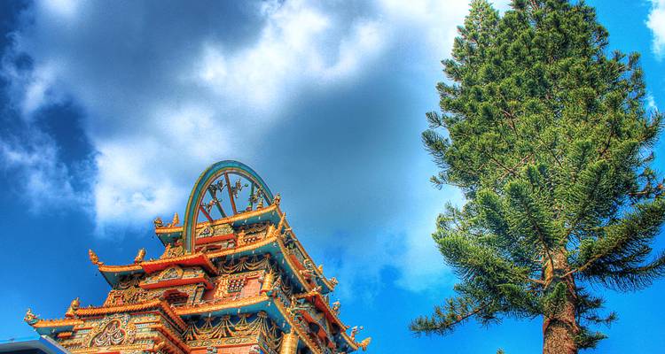 Brightly painted South Indian temple gopuram reaching toward a vivid blue sky beside a tall conifer.