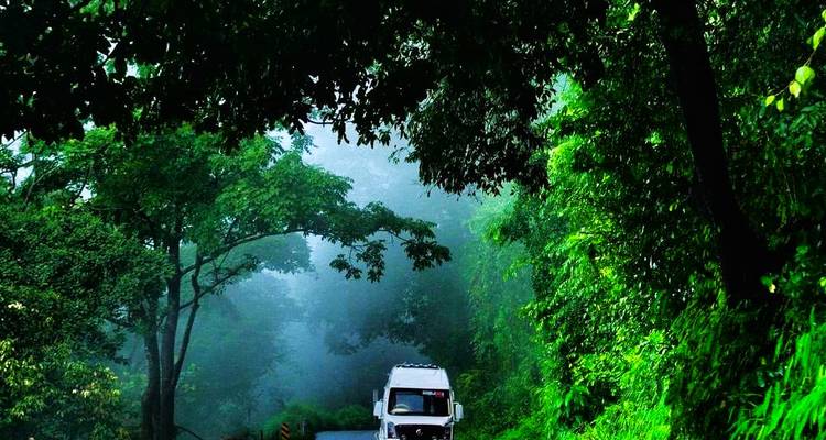 White safari van driving through a dense, misty green forest tunnel on a narrow road.
