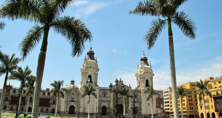 Vue de la cathédrale de Lima encadrée par de grands palmiers sous un ciel bleu éclatant.