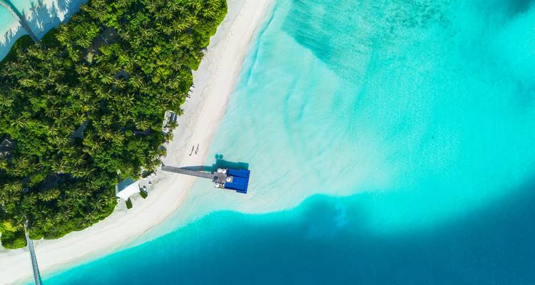 Drone shot of lush palm-covered island meeting bright cyan shallows and deep blue sea in the Maldives.
