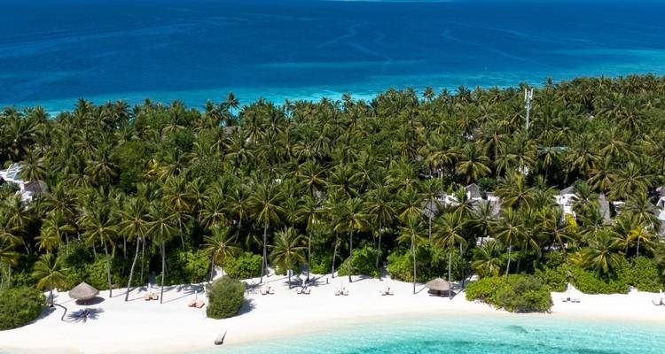 Long palm-fringed beach with emerald and sapphire water gradients along a Maldives shoreline.
