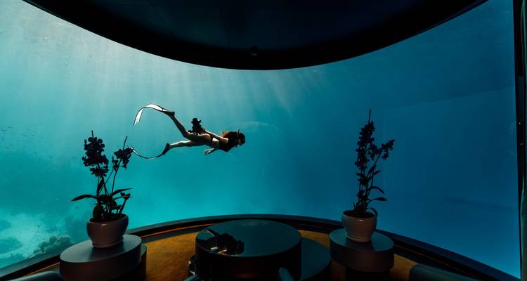 Woman with fins floating gracefully in front of a huge curved aquarium window in an underwater suite.