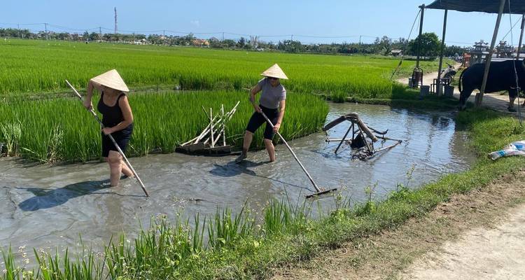 Viajeros con sombreros cónicos caminan por un arrozal inundado, trabajando la tierra bajo el sol brillante.