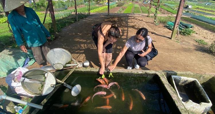Los visitantes alimentan peces en un tanque de granja de concreto junto a exuberantes parcelas de vegetales en el Vietnam rural.