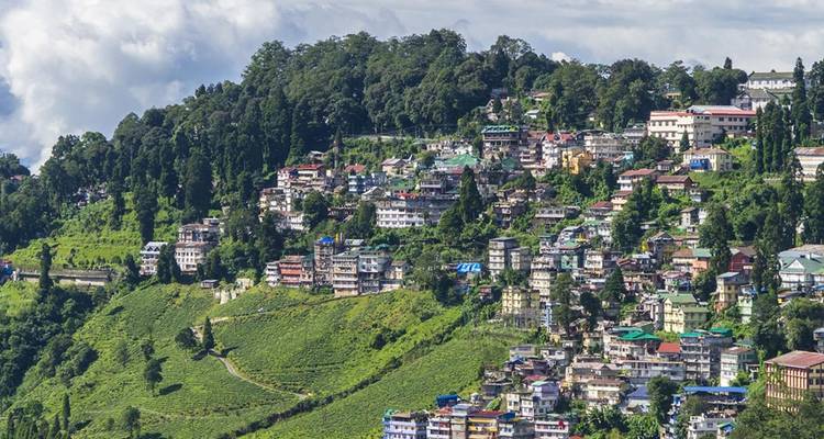 Dense clusters of hillside homes rise above sweeping green slopes dotted with trees under a bright sky.