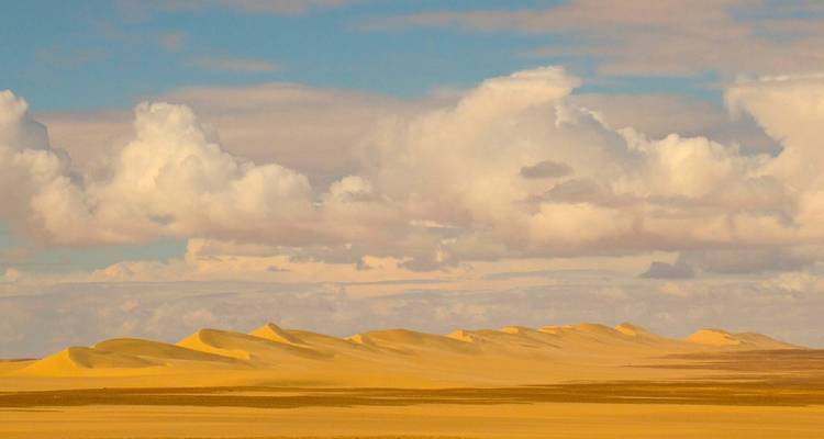Golden sand dunes ripple across a vast desert plain beneath scattered white clouds.