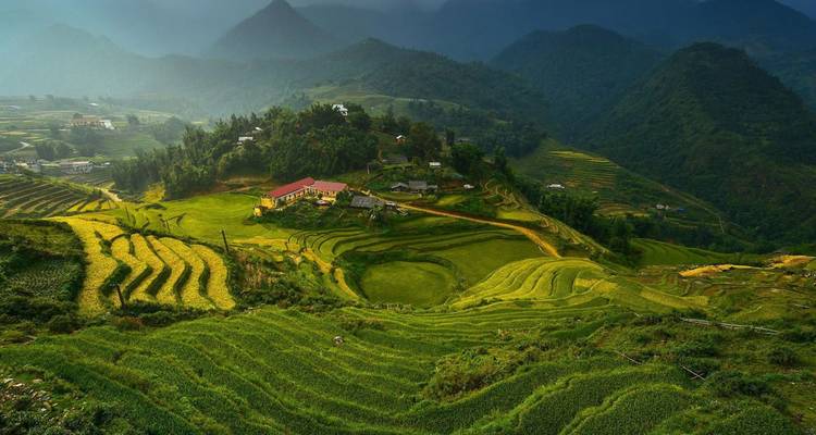 Lush green rice terraces cascading down a valley surrounded by forested hills and misty mountains under dramatic light.