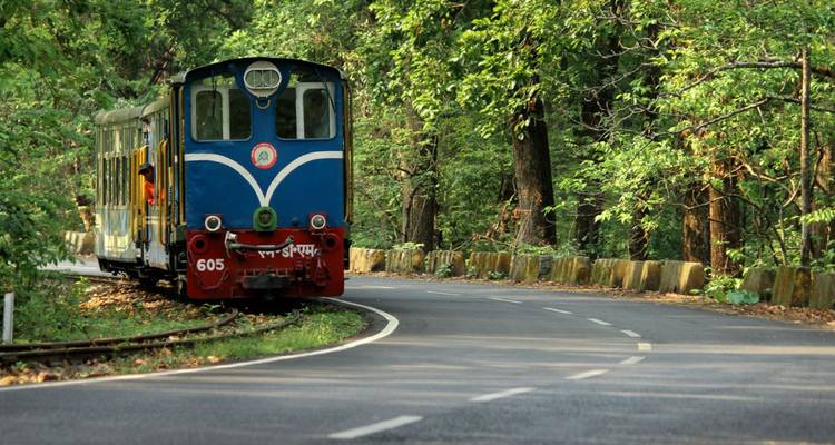 Blue toy-train engine winding along a forested road curve in bright green woodland.