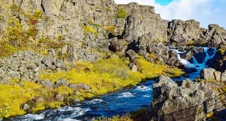 Heldere beek stroomt door rotsachtige lavaformaties en herfstmos in Nationaal Park Thingvellir.
