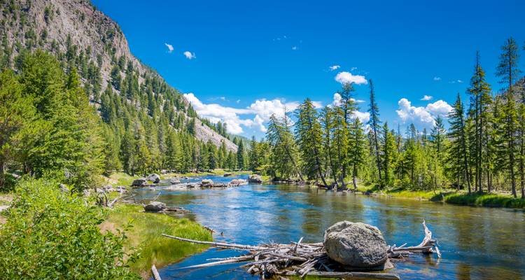 Kristallklarer Fluss, der sich durch Kiefernwald und felsige Hänge unter einem leuchtend blauen Himmel schlängelt.