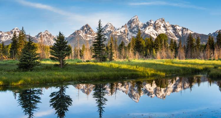 Estanque en calma como un espejo reflejando picos nevados y árboles perennes en el Parque Nacional Grand Teton.
