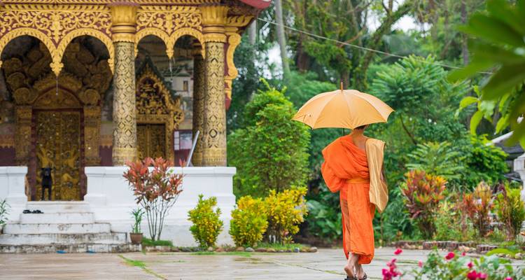 Ein buddhistischer Mönch in orangefarbener Robe geht mit gelbem Regenschirm an einem verzierten Tempeldurchgang im Regen vorbei.