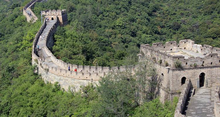 Perspectiva aérea de la Gran Muralla China serpenteando a través de colinas boscosas verdes.