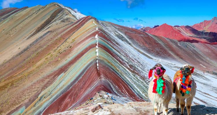Two decorated llamas stand on the vibrant striped ridge of Peru’s Rainbow Mountain under clear blue sky.