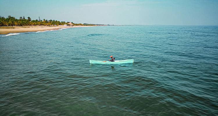 Lone paddler rows a small blue boat on a vast, tranquil sea with palm-lined coast in the distance.