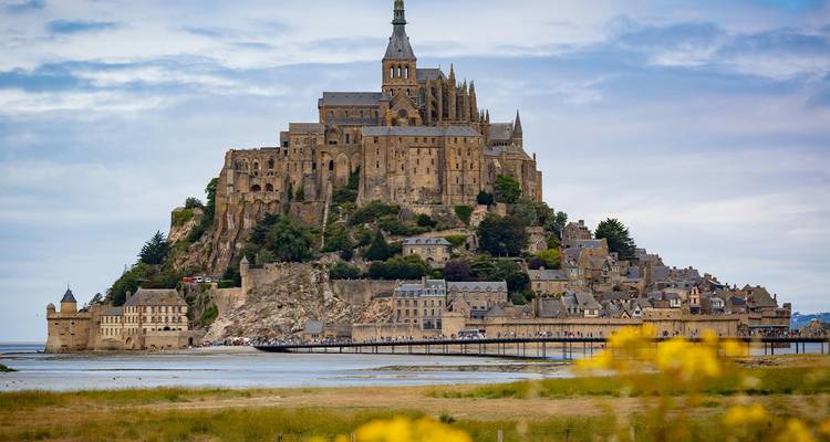 Iconisch volledig zicht op Mont Saint-Michel die dramatisch oprijst uit de getijdevlakten met wilde bloemen wazig op de voorgrond.