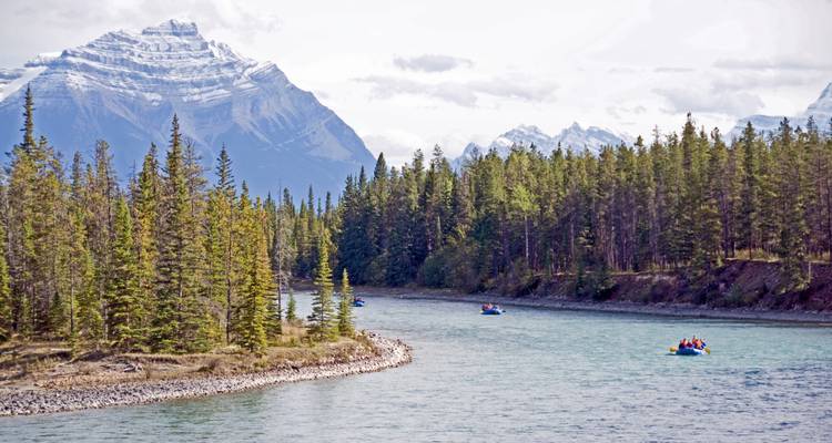 Rafts float down a turquoise river framed by dense evergreen forest with snow-capped mountains in the background