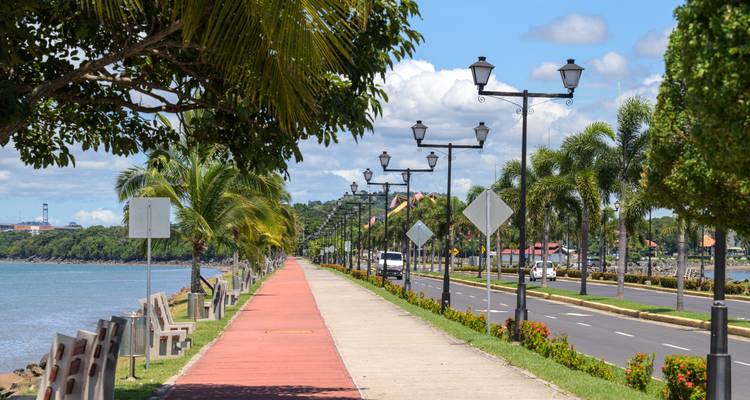 Palm-lined coastal promenade with separate lanes for walkers and traffic under a blue tropical sky