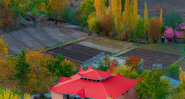 Los colores otoñales cubren un valle de campos y árboles con una casa de techo rojo en primer plano.