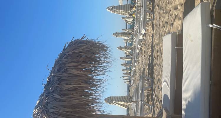 Rows of empty sun-loungers and striped parasols rest on a sandy beach beneath a straw umbrella against a cloudless blue sky.