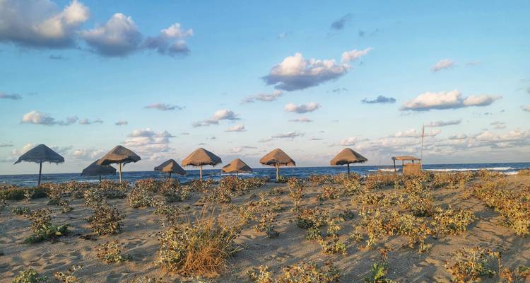 Sandy coastal dunes dotted with low shrubs and straw parasols face a calm blue sea under scattered clouds.