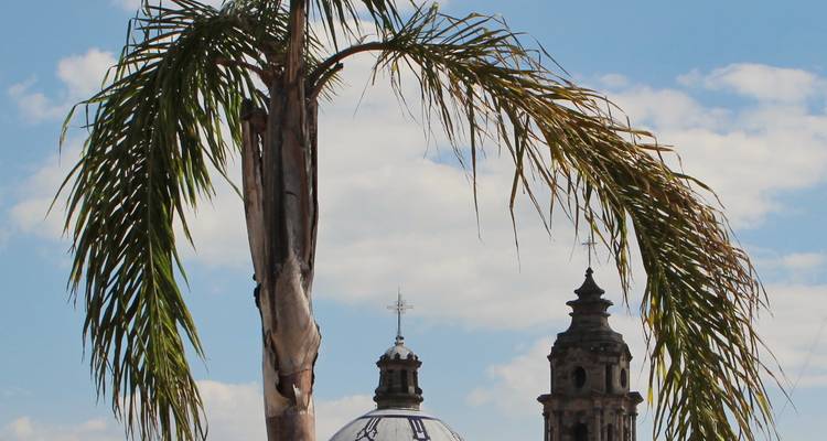 Fronde de palmier encadrant un dôme d'église et un clocher contre un ciel bleu avec des nuages.