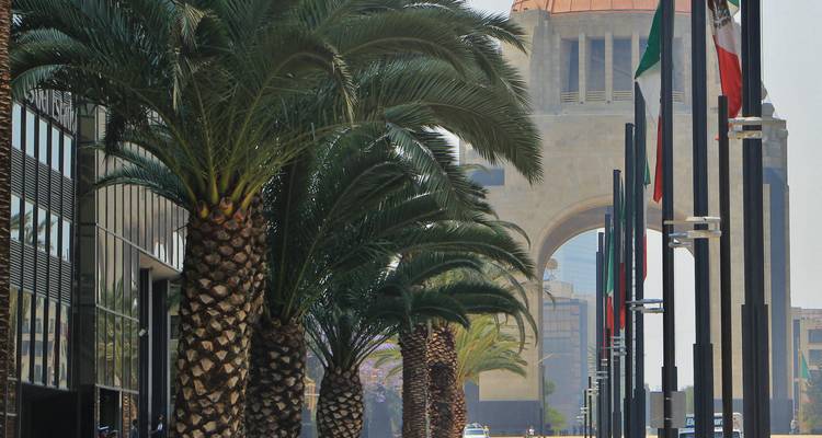 Palm-lined avenue leading toward the stone arch of Monumento a la Revolución on a hazy day