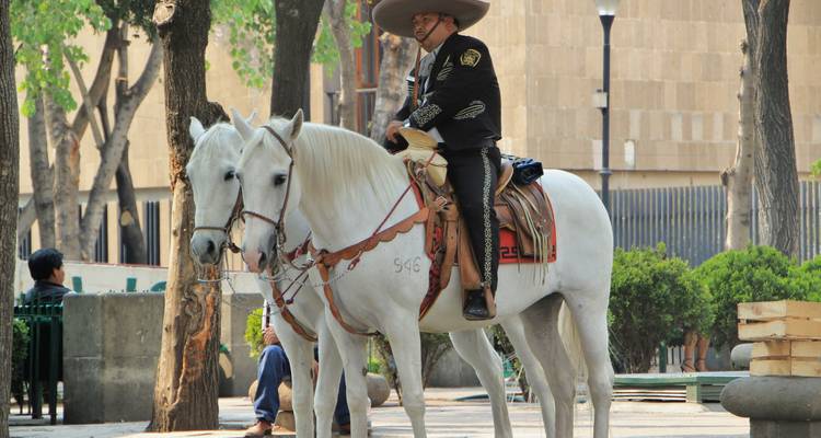 Traditional charro in ornate sombrero mounted on a white horse beside another horse in a leafy city park