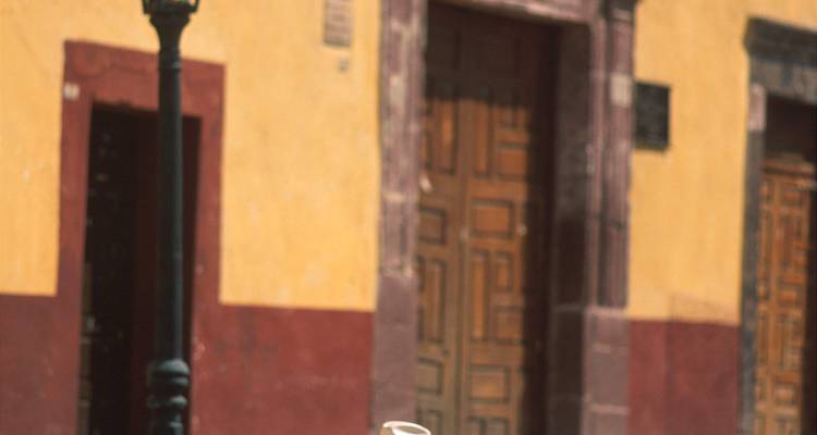 Colorful colonial wall with wooden doors partially visible behind an old wrought-iron lamp post