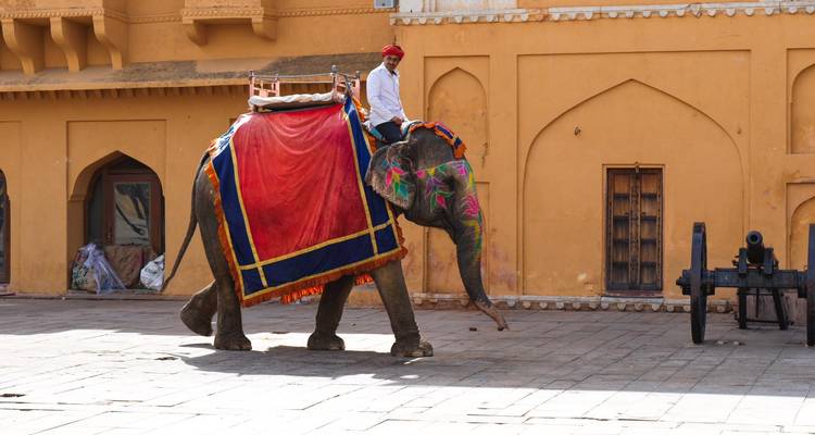Un cornac en tenue traditionnelle chevauche un éléphant décoré devant un mur de fort en grès ambré.