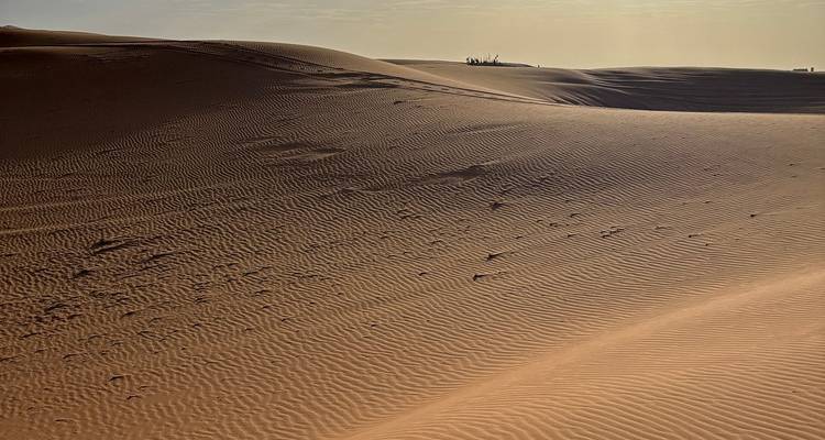 Wellenförmige Sanddünen mit gerippten Texturen erstrecken sich unter einem dunsigen Himmel.
