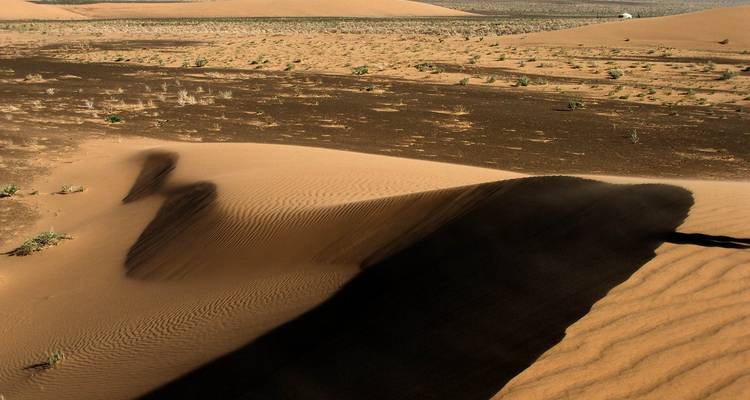 Des ombres se projettent sur de vastes dunes de sable sous un ciel désertique dégagé.