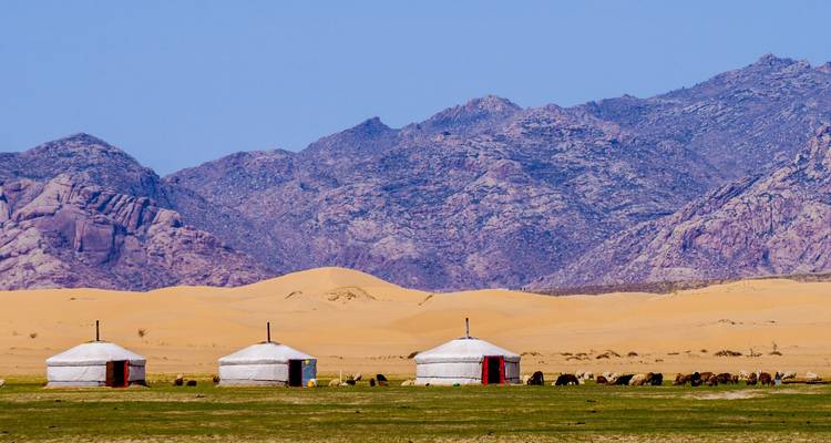 Trois yourtes blanches se dressent sur la steppe verte avec des dunes de sable et des montagnes rocheuses derrière.