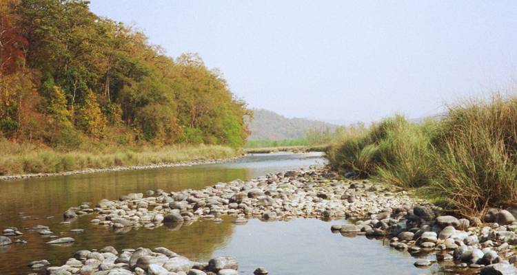 Clear shallow river winding through pebbled banks and mixed deciduous forest.