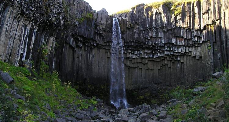 Svartifoss waterfall plunges over towering hexagonal basalt columns into a rocky ravine.