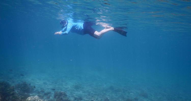 Onderwaterfoto van een snorkelaar met zwemvliezen en een blauwe rashguard die zwemt boven een koraalrif in helder blauw water.
