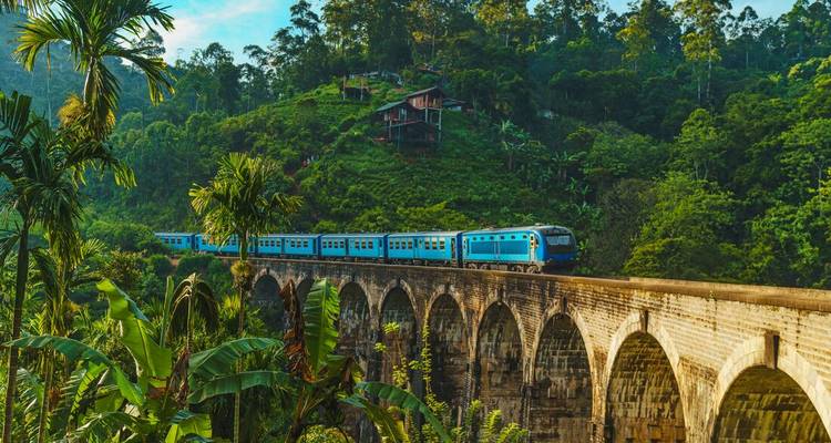 Le train bleu emblématique traverse le pont aux neuf arches du Sri Lanka au milieu d'un paysage de jungle verdoyante.