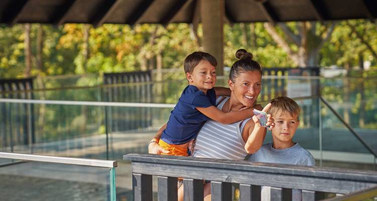 Une mère et ses deux jeunes fils regardent depuis une plateforme en bois surélevée dans une réserve naturelle.