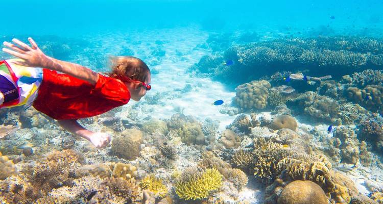 Un enfant portant des lunettes de plongée fait du snorkeling au-dessus de récifs coralliens vibrants dans une eau bleue claire.