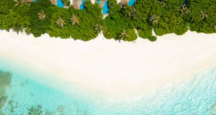 Vue aérienne éclatante d'une plage blanche immaculée bordée de palmiers denses et d'eaux peu profondes d'un bleu turquoise éclatant.