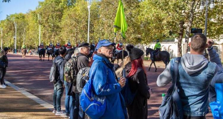 Les participants de la visite à pied se tiennent le long d'un large boulevard, regardant passer les gardes à cheval sous les arbres feuillus